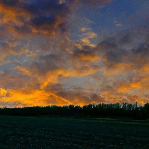 Meet your Posher, Justin - Picture 1 of 1